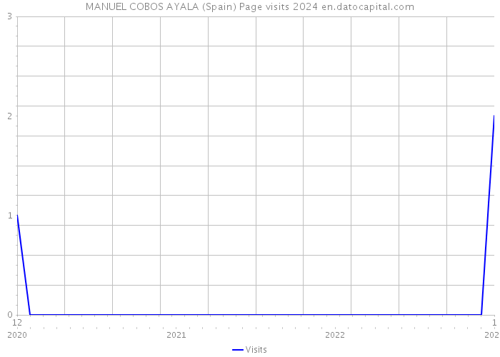 MANUEL COBOS AYALA (Spain) Page visits 2024 