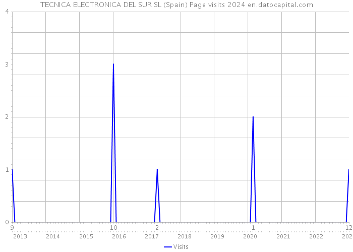 TECNICA ELECTRONICA DEL SUR SL (Spain) Page visits 2024 