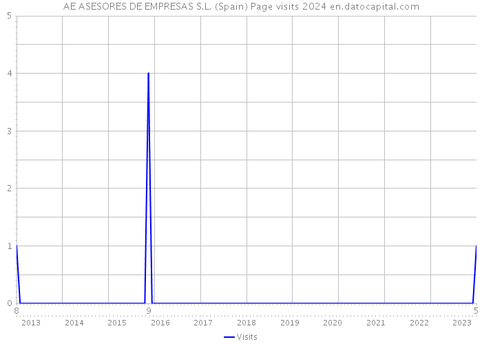 AE ASESORES DE EMPRESAS S.L. (Spain) Page visits 2024 