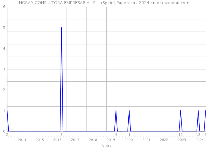 NORAY CONSULTORA EMPRESARIAL S.L. (Spain) Page visits 2024 