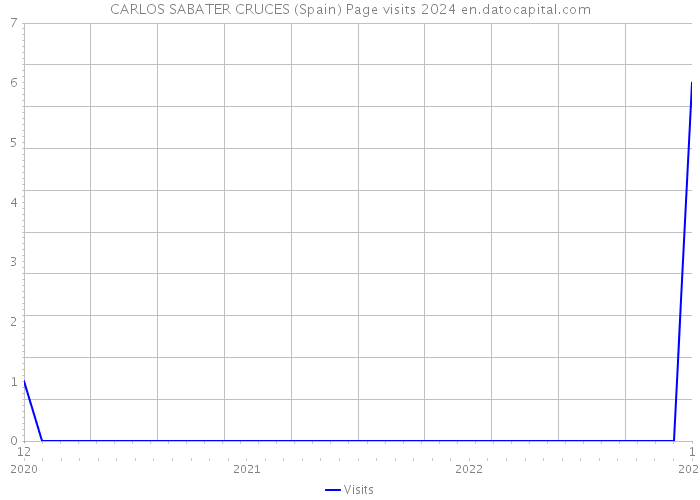 CARLOS SABATER CRUCES (Spain) Page visits 2024 