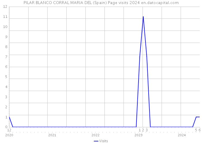 PILAR BLANCO CORRAL MARIA DEL (Spain) Page visits 2024 