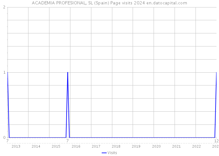 ACADEMIA PROFESIONAL, SL (Spain) Page visits 2024 