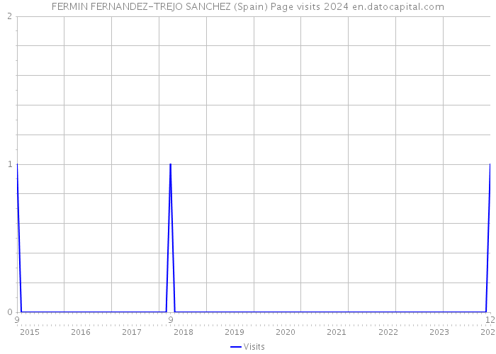 FERMIN FERNANDEZ-TREJO SANCHEZ (Spain) Page visits 2024 