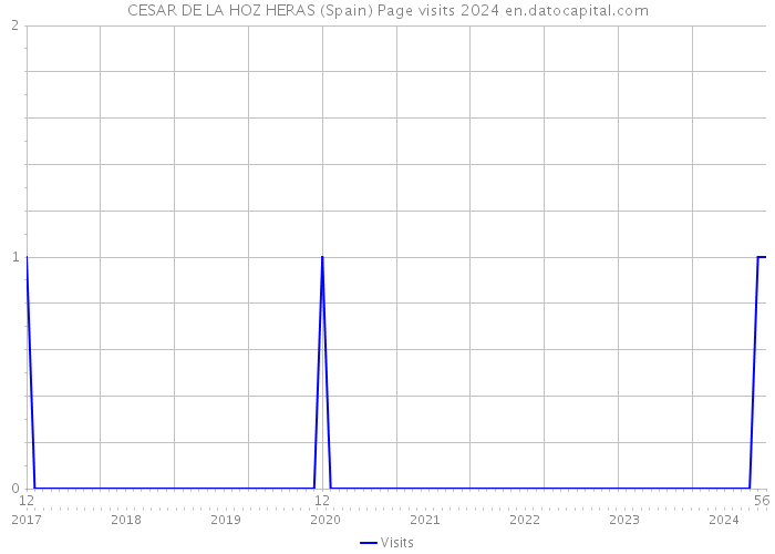 CESAR DE LA HOZ HERAS (Spain) Page visits 2024 