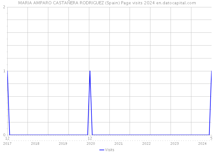 MARIA AMPARO CASTAÑERA RODRIGUEZ (Spain) Page visits 2024 