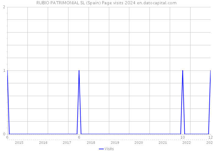 RUBIO PATRIMONIAL SL (Spain) Page visits 2024 