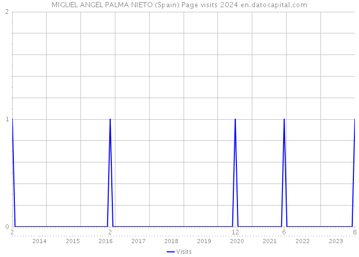 MIGUEL ANGEL PALMA NIETO (Spain) Page visits 2024 