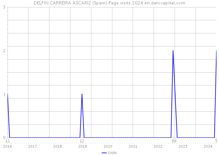 DELFIN CARREIRA ASCARIZ (Spain) Page visits 2024 