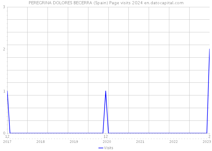 PEREGRINA DOLORES BECERRA (Spain) Page visits 2024 