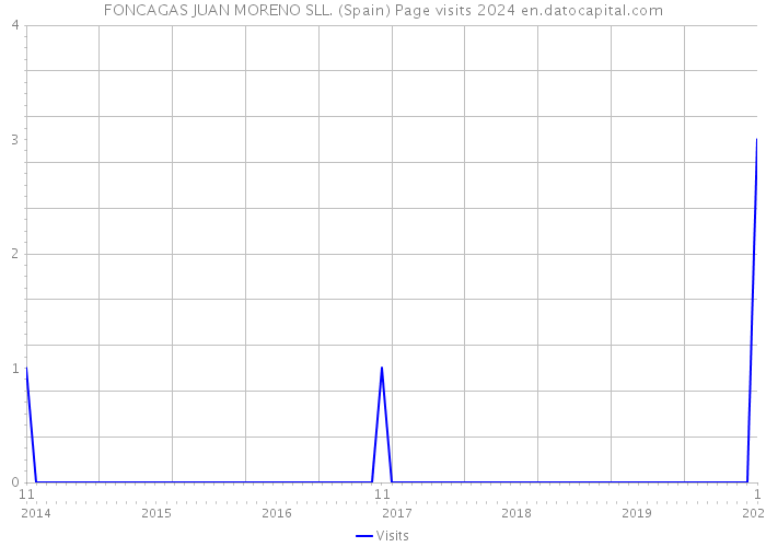 FONCAGAS JUAN MORENO SLL. (Spain) Page visits 2024 