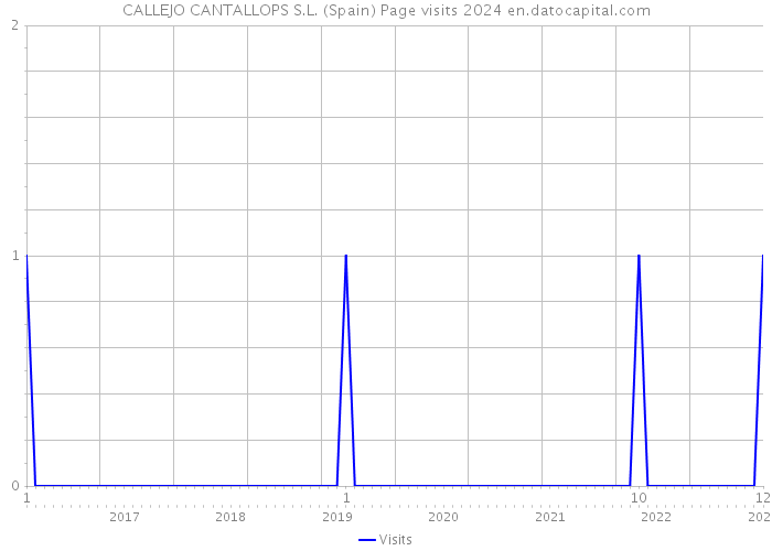 CALLEJO CANTALLOPS S.L. (Spain) Page visits 2024 