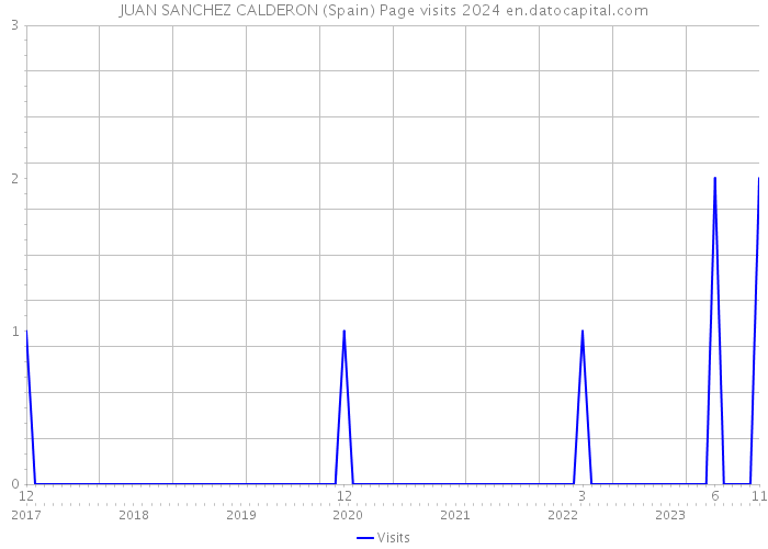 JUAN SANCHEZ CALDERON (Spain) Page visits 2024 