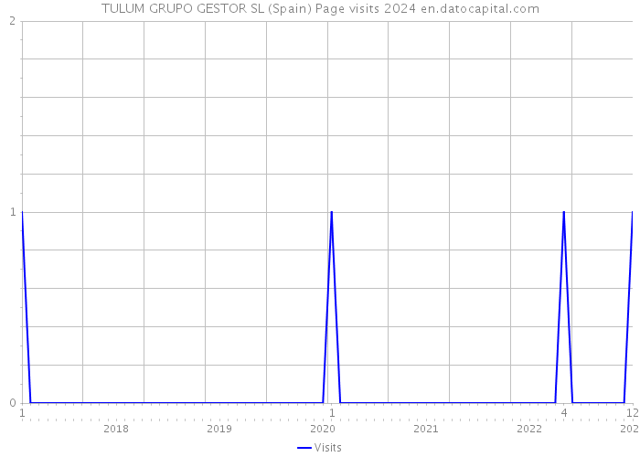 TULUM GRUPO GESTOR SL (Spain) Page visits 2024 