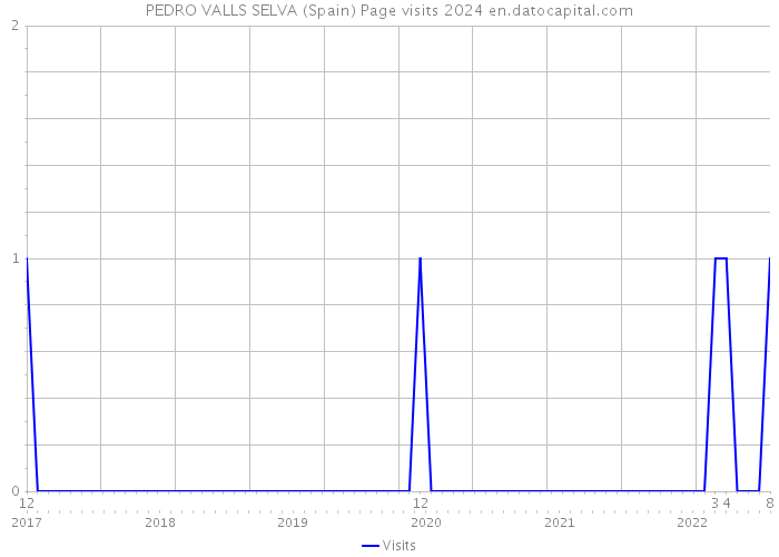 PEDRO VALLS SELVA (Spain) Page visits 2024 