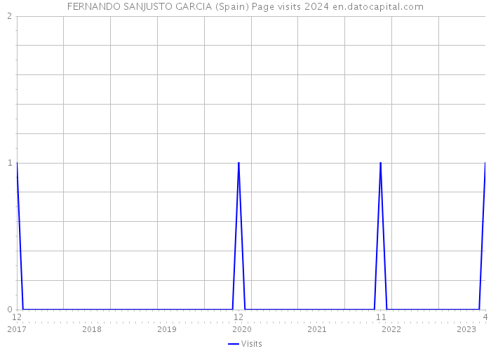 FERNANDO SANJUSTO GARCIA (Spain) Page visits 2024 