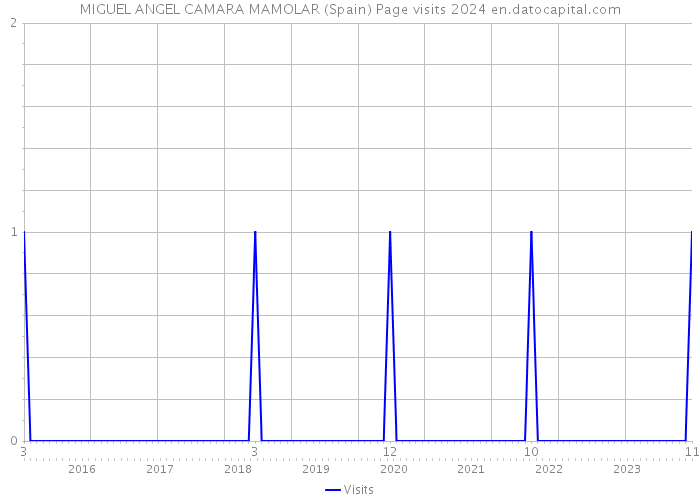 MIGUEL ANGEL CAMARA MAMOLAR (Spain) Page visits 2024 