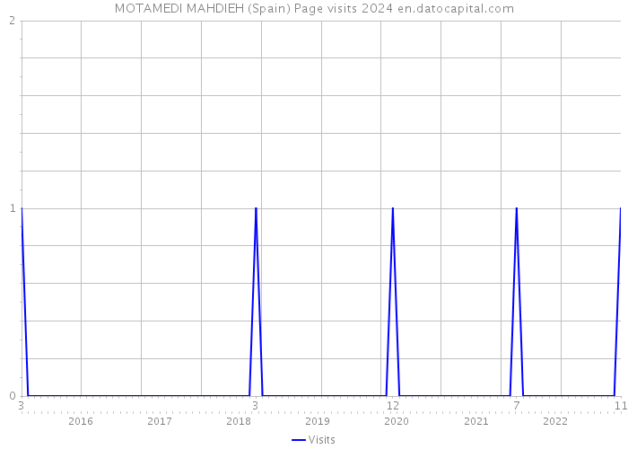 MOTAMEDI MAHDIEH (Spain) Page visits 2024 