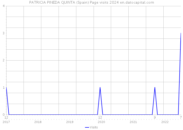 PATRICIA PINEDA QUINTA (Spain) Page visits 2024 