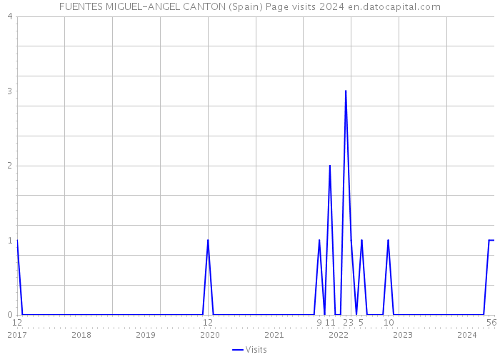 FUENTES MIGUEL-ANGEL CANTON (Spain) Page visits 2024 