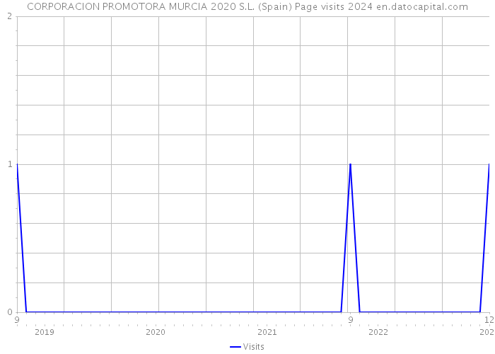 CORPORACION PROMOTORA MURCIA 2020 S.L. (Spain) Page visits 2024 