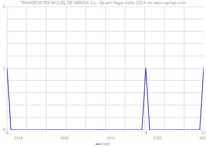 TRANSPORTES MIGUEL DE MERIDA S.L. (Spain) Page visits 2024 