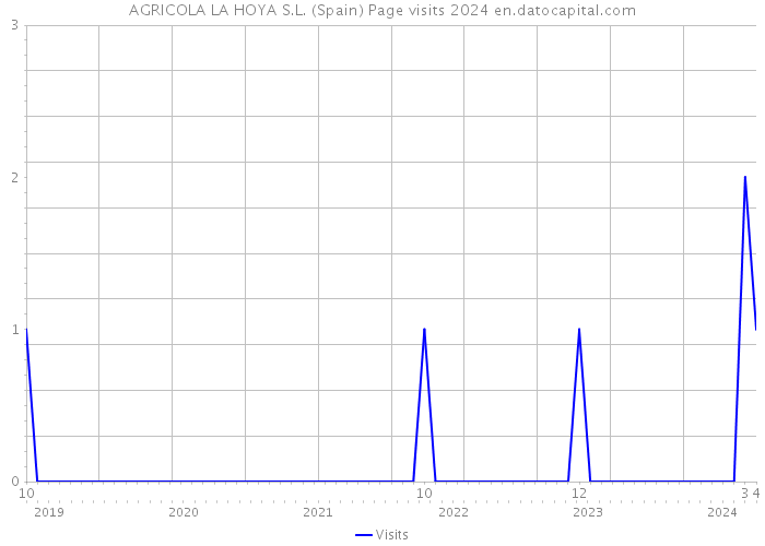 AGRICOLA LA HOYA S.L. (Spain) Page visits 2024 