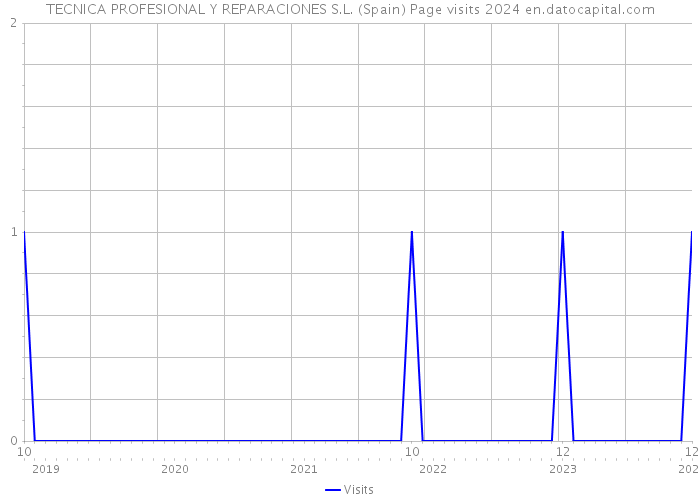 TECNICA PROFESIONAL Y REPARACIONES S.L. (Spain) Page visits 2024 