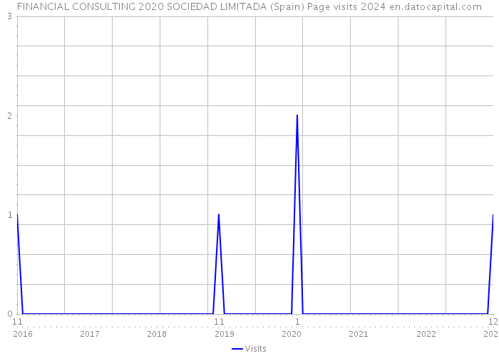 FINANCIAL CONSULTING 2020 SOCIEDAD LIMITADA (Spain) Page visits 2024 