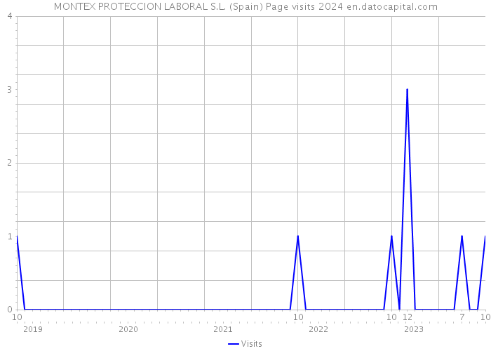 MONTEX PROTECCION LABORAL S.L. (Spain) Page visits 2024 