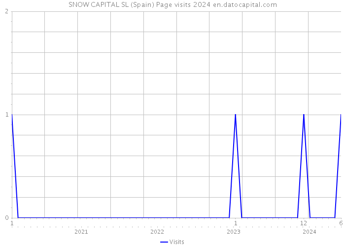 SNOW CAPITAL SL (Spain) Page visits 2024 