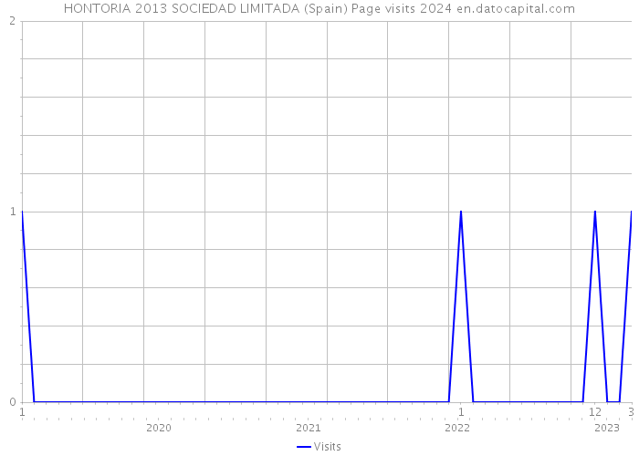 HONTORIA 2013 SOCIEDAD LIMITADA (Spain) Page visits 2024 