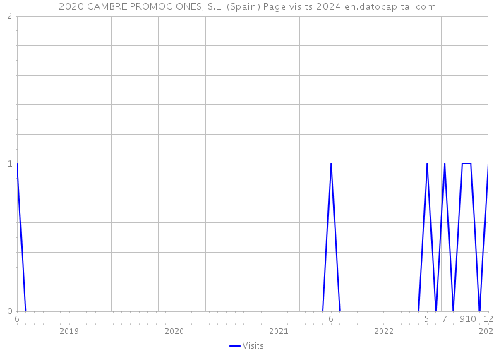 2020 CAMBRE PROMOCIONES, S.L. (Spain) Page visits 2024 