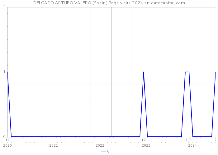 DELGADO ARTURO VALERO (Spain) Page visits 2024 