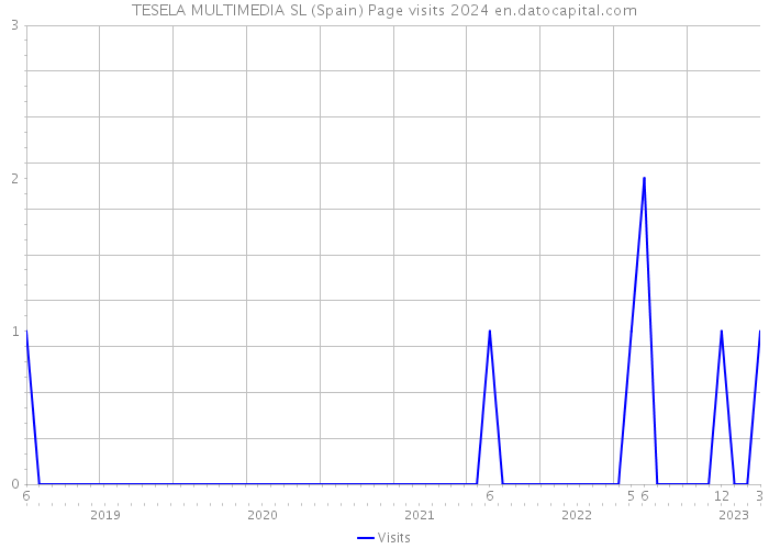 TESELA MULTIMEDIA SL (Spain) Page visits 2024 