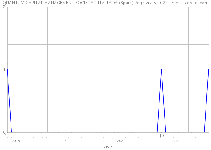 QUANTUM CAPITAL MANAGEMENT SOCIEDAD LIMITADA (Spain) Page visits 2024 