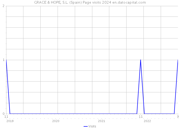 GRACE & HOPE, S.L. (Spain) Page visits 2024 