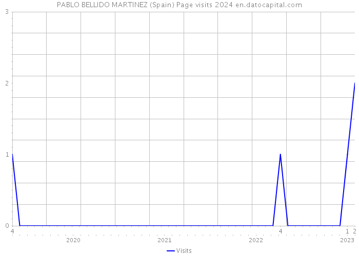 PABLO BELLIDO MARTINEZ (Spain) Page visits 2024 