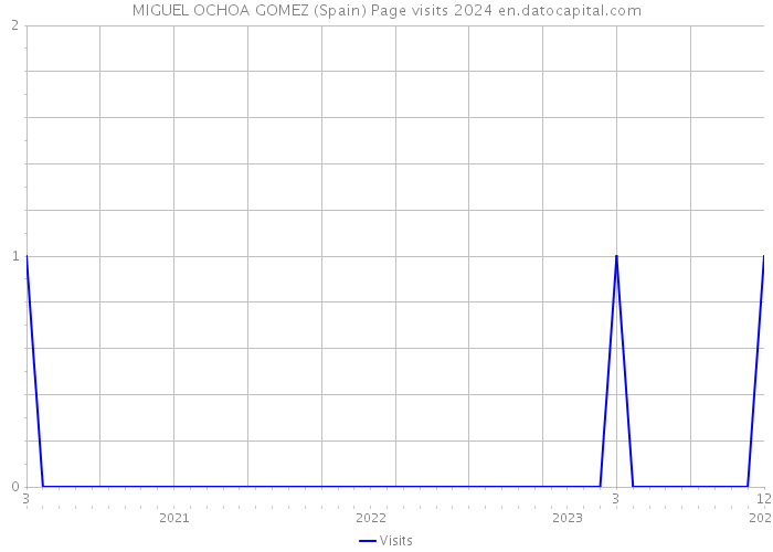MIGUEL OCHOA GOMEZ (Spain) Page visits 2024 