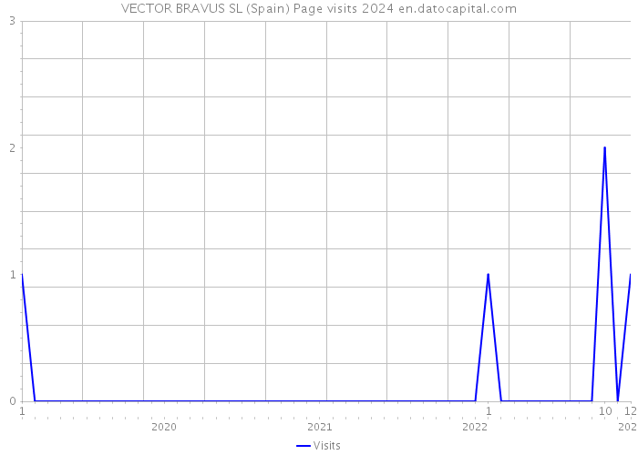 VECTOR BRAVUS SL (Spain) Page visits 2024 