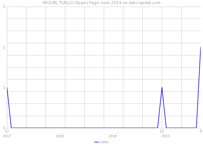 MIGUEL TUELLS (Spain) Page visits 2024 