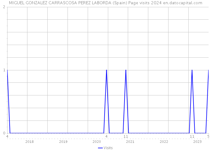 MIGUEL GONZALEZ CARRASCOSA PEREZ LABORDA (Spain) Page visits 2024 