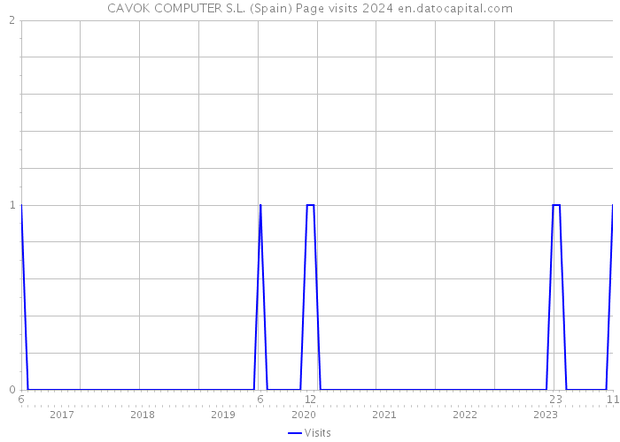 CAVOK COMPUTER S.L. (Spain) Page visits 2024 