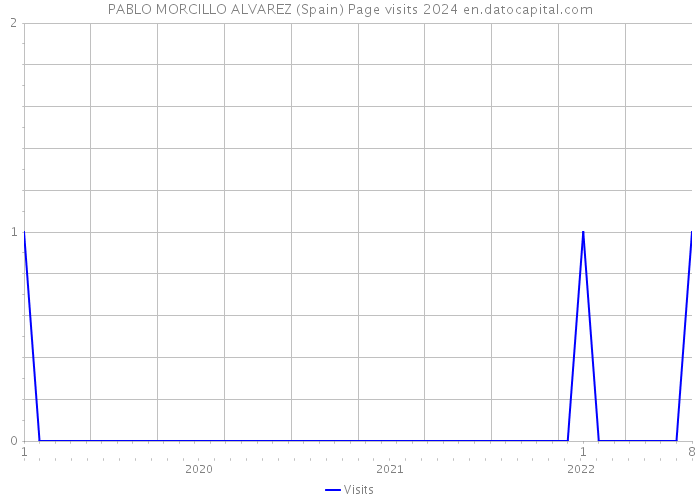 PABLO MORCILLO ALVAREZ (Spain) Page visits 2024 