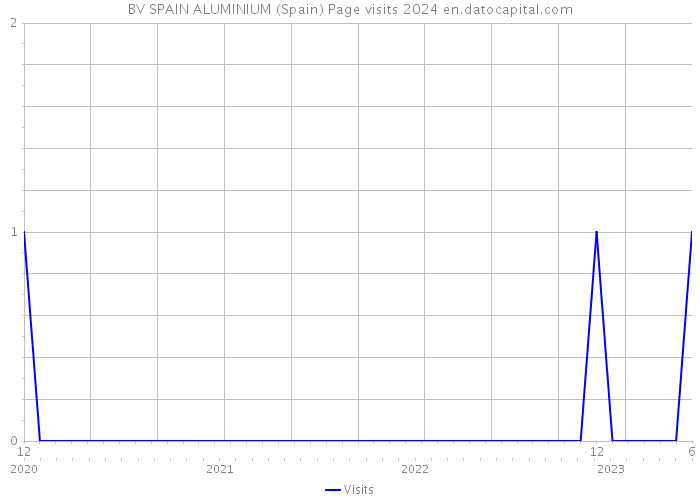BV SPAIN ALUMINIUM (Spain) Page visits 2024 
