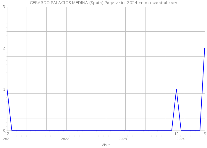 GERARDO PALACIOS MEDINA (Spain) Page visits 2024 