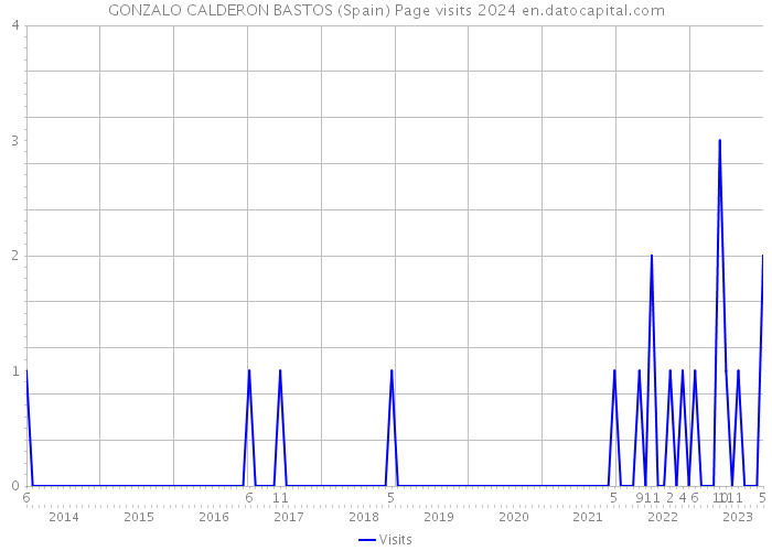 GONZALO CALDERON BASTOS (Spain) Page visits 2024 