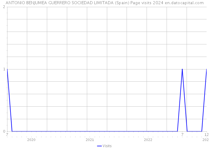 ANTONIO BENJUMEA GUERRERO SOCIEDAD LIMITADA (Spain) Page visits 2024 