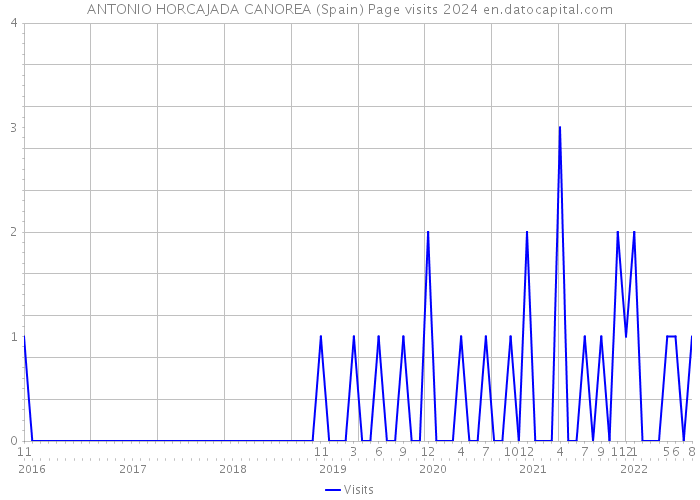 ANTONIO HORCAJADA CANOREA (Spain) Page visits 2024 