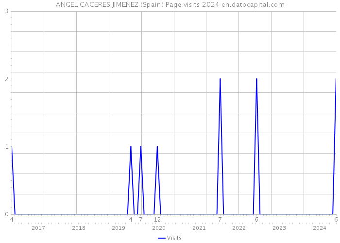 ANGEL CACERES JIMENEZ (Spain) Page visits 2024 